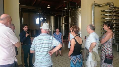 Baroque wine and olive oil 