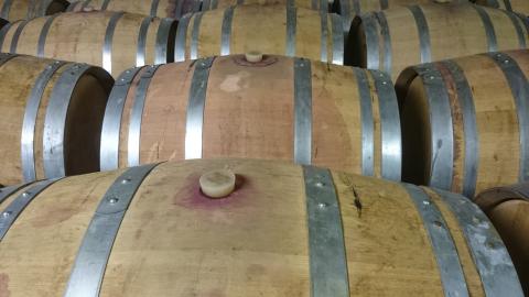 Baroque wine and olive oil 
