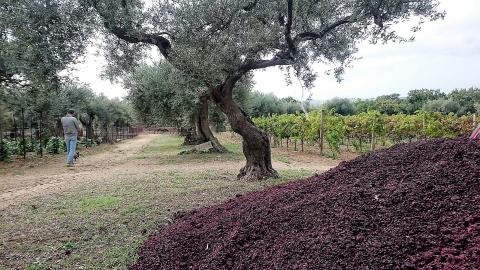 Baroque Wine tour