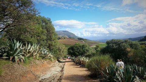 Segesta