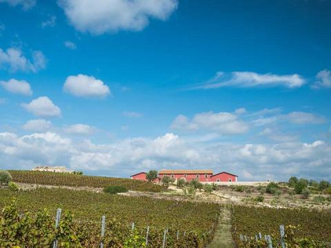 Winery 