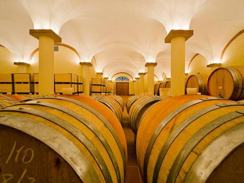 Barrels of Nero d'avola