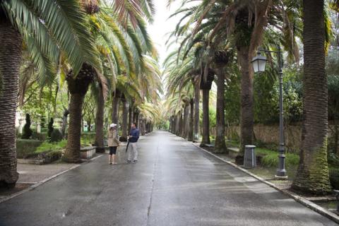 Ibla